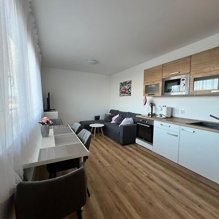Apartman Roda2 Male Lipno Černá v Pošumaví Esterno foto
